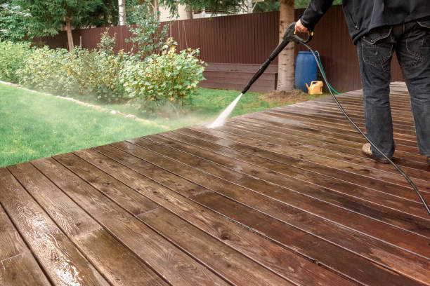 Best Roof Cleaning and Mildew Removal in Many, LA